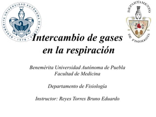 Intercambio de gases
en la respiración
Benemérita Universidad Autónoma de Puebla
Facultad de Medicina
Departamento de Fisiología
Instructor: Reyes Torres Bruno Eduardo
 