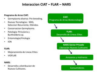 Intercambio de germoplasma__practicas_actuales