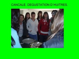 CANCALE. DEGUSTATION D´HUITRES. 