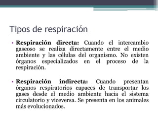 Tipos de respiración
• Respiración directa: Cuando el intercambio
gaseoso se realiza directamente entre el medio
ambiente y las células del organismo. No existen
órganos especializados en el proceso de la
respiración.
• Respiración indirecta: Cuando presentan
órganos respiratorios capaces de transportar los
gases desde el medio ambiente hacia el sistema
circulatorio y viceversa. Se presenta en los animales
más evolucionados.
 