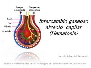 Iturbide Robles Jair Fernando
Desarrollo de Habilidades de las Tecnologías de la Información y la Comunicación
Intercambio gaseoso
alveolo-capilar
(Hematosis)
 
