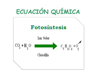 ECUACIÓN QUÍMICA
 