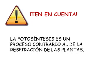 ¡TEN EN CUENTA!
LA FOTOSÍNTESIS ES UN
PROCESO CONTRARIO AL DE LA
RESPIRACIÓN DE LAS PLANTAS.
 