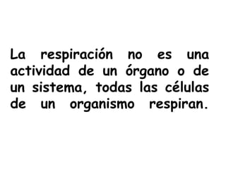La respiración no es una
actividad de un órgano o de
un sistema, todas las células
de un organismo respiran.
 