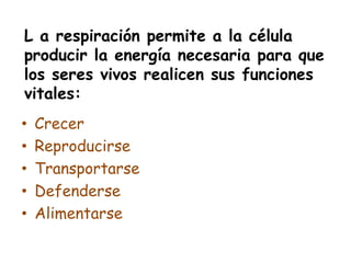 L a respiración permite a la célula
producir la energía necesaria para que
los seres vivos realicen sus funciones
vitales:
• Crecer
• Reproducirse
• Transportarse
• Defenderse
• Alimentarse
 