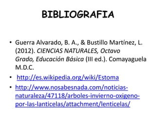 BIBLIOGRAFIA
• Guerra Alvarado, B. A., & Bustillo Martínez, L.
(2012). CIENCIAS NATURALES, Octavo
Grado, Educación Básica (III ed.). Comayaguela
M.D.C.
• http://es.wikipedia.org/wiki/Estoma
• http://www.nosabesnada.com/noticias-
naturaleza/47118/arboles-invierno-oxigeno-
por-las-lanticelas/attachment/lenticelas/
 