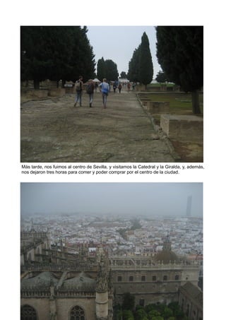 Más tarde, nos fuimos al centro de Sevilla, y visitamos la Catedral y la Giralda, y, además,
nos dejaron tres horas para comer y poder comprar por el centro de la ciudad.
 
