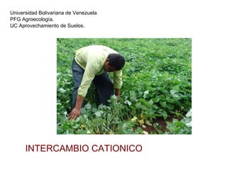 Universidad Bolivariana de Venezuela PFG Agroecología. UC Aprovechamiento de Suelos.  INTERCAMBIO CATIONICO 