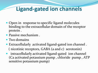 Ligand-gated ion channels
 Open in response to specific ligand molecules
binding to the extracellular domain of the receptor
protein .
 Passive mechanism .
 Two domains
 Extracellularly activated ligand-gated ion channel .
( nicotinic receptors, GABA (a and c) serotonin)
 intracellularly activated ligand-gated ion channel
(Ca activated potassium pump , chloride pump , ATP
sensitive potassium pump)
 