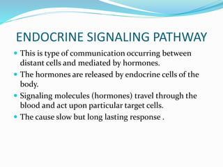 ENDOCRINE SIGNALING PATHWAY
 This is type of communication occurring between
distant cells and mediated by hormones.
 The hormones are released by endocrine cells of the
body.
 Signaling molecules (hormones) travel through the
blood and act upon particular target cells.
 The cause slow but long lasting response .
 