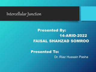Intercellular Junction
Presented By:
14-ARID-2022
FAISAL SHAHZAD SOMROO
Presented To:
Dr. Riaz Hussain Pasha
 