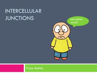 INTERCELLULAR
JUNCTIONS
Priya Mehta
Intercellular
what!?!
 