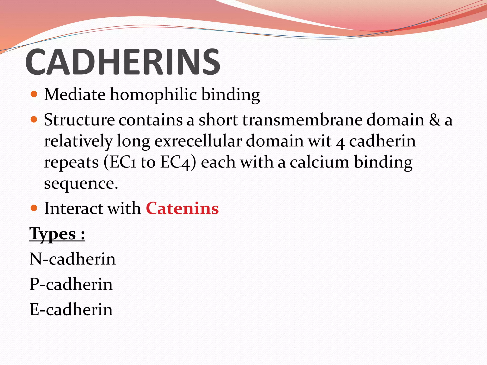 CADHERINS
 Mediate homophilic binding
 Structure contains a short transmembrane domain & a
relatively long exrecellular domain wit 4 cadherin
repeats (EC1 to EC4) each with a calcium binding
sequence.
 Interact with Catenins
Types :
N-cadherin
P-cadherin
E-cadherin
 