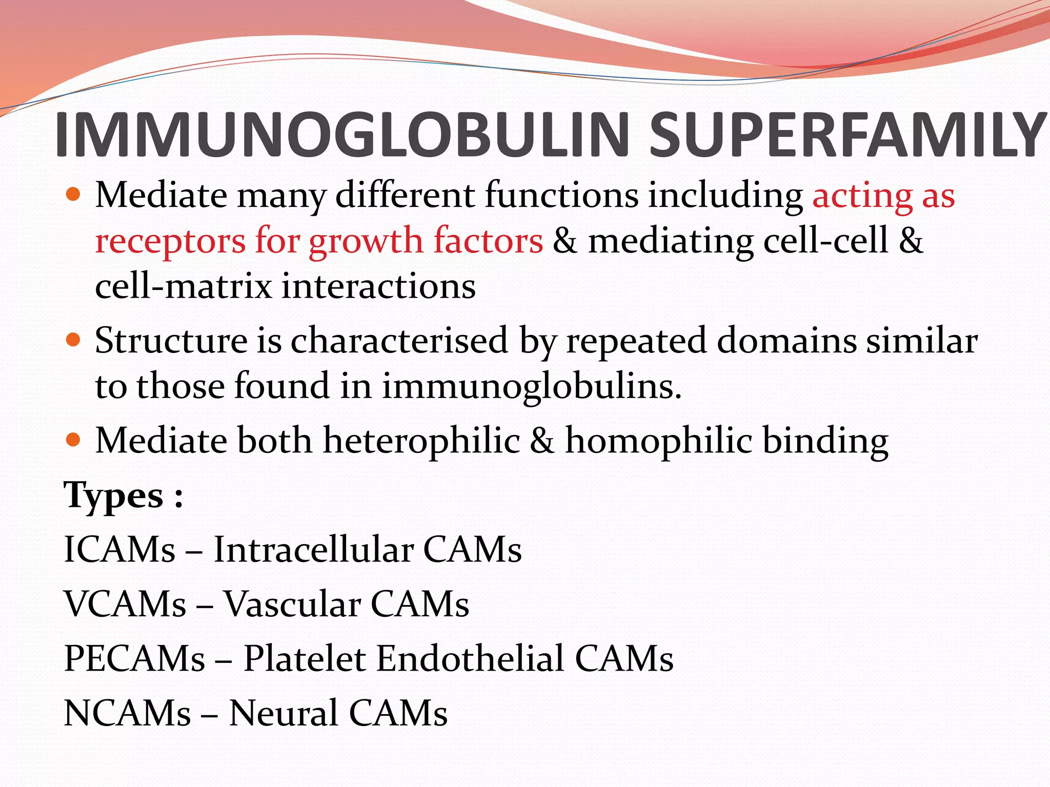 IMMUNOGLOBULIN SUPERFAMILY
 Mediate many different functions including acting as
receptors for growth factors & mediating cell-cell &
cell-matrix interactions
 Structure is characterised by repeated domains similar
to those found in immunoglobulins.
 Mediate both heterophilic & homophilic binding
Types :
ICAMs – Intracellular CAMs
VCAMs – Vascular CAMs
PECAMs – Platelet Endothelial CAMs
NCAMs – Neural CAMs
 