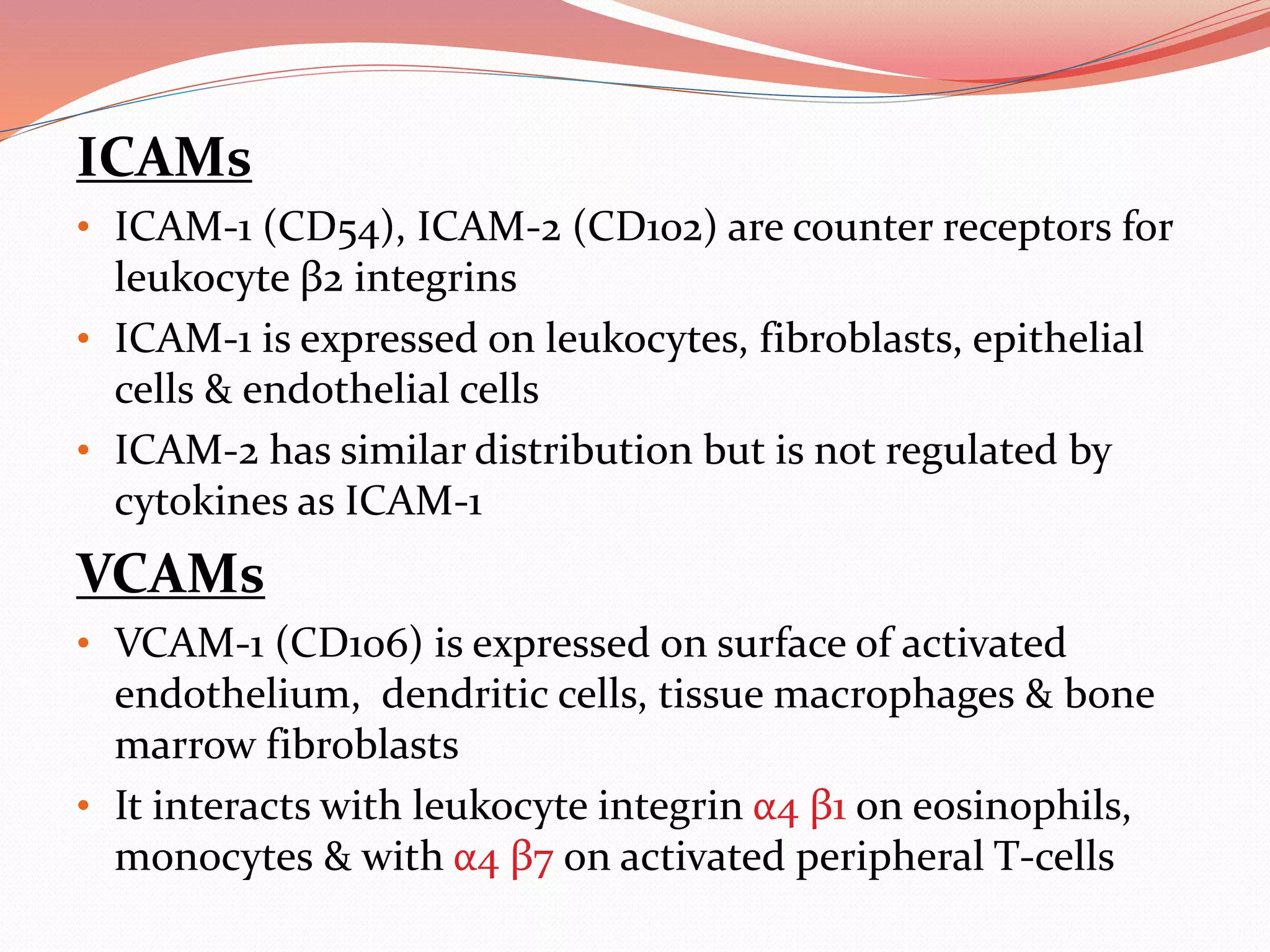 ICAMs
• ICAM-1 (CD54), ICAM-2 (CD102) are counter receptors for
leukocyte β2 integrins
• ICAM-1 is expressed on leukocytes, fibroblasts, epithelial
cells & endothelial cells
• ICAM-2 has similar distribution but is not regulated by
cytokines as ICAM-1
VCAMs
• VCAM-1 (CD106) is expressed on surface of activated
endothelium, dendritic cells, tissue macrophages & bone
marrow fibroblasts
• It interacts with leukocyte integrin α4 β1 on eosinophils,
monocytes & with α4 β7 on activated peripheral T-cells
 