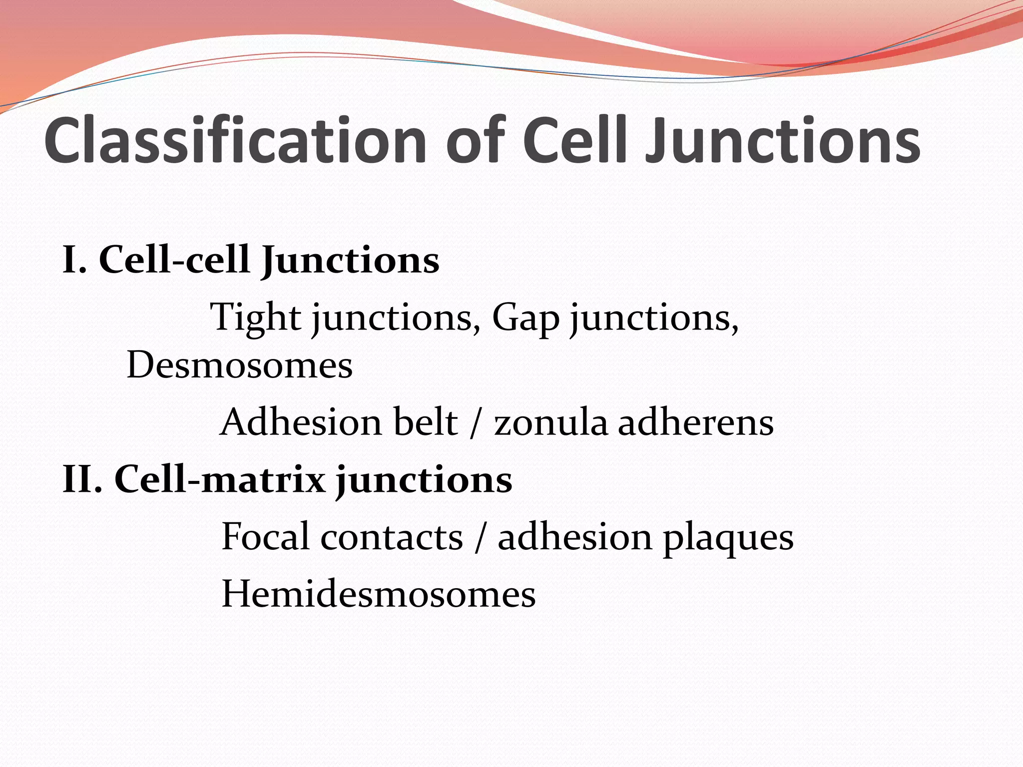 Classification of Cell Junctions
I. Cell-cell Junctions
Tight junctions, Gap junctions,
Desmosomes
Adhesion belt / zonula adherens
II. Cell-matrix junctions
Focal contacts / adhesion plaques
Hemidesmosomes
 