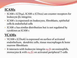 ICAMs
• ICAM-1 (CD54), ICAM-2 (CD102) are counter receptors for
leukocyte β2 integrins
• ICAM-1 is expressed on leukocytes, fibroblasts, epithelial
cells & endothelial cells
• ICAM-2 has similar distribution but is not regulated by
cytokines as ICAM-1
VCAMs
• VCAM-1 (CD106) is expressed on surface of activated
endothelium, dendritic cells, tissue macrophages & bone
marrow fibroblasts
• It interacts with leukocyte integrin α4 β1 on eosinophils,
monocytes & with α4 β7 on activated peripheral T-cells
 