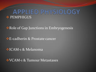  PEMPHIGUS
Role of Gap Junctions in Embryogenesis
E-cadherin & Prostate cancer
ICAM-1 & Melanoma
VCAM-1 & Tumour Metastases
 