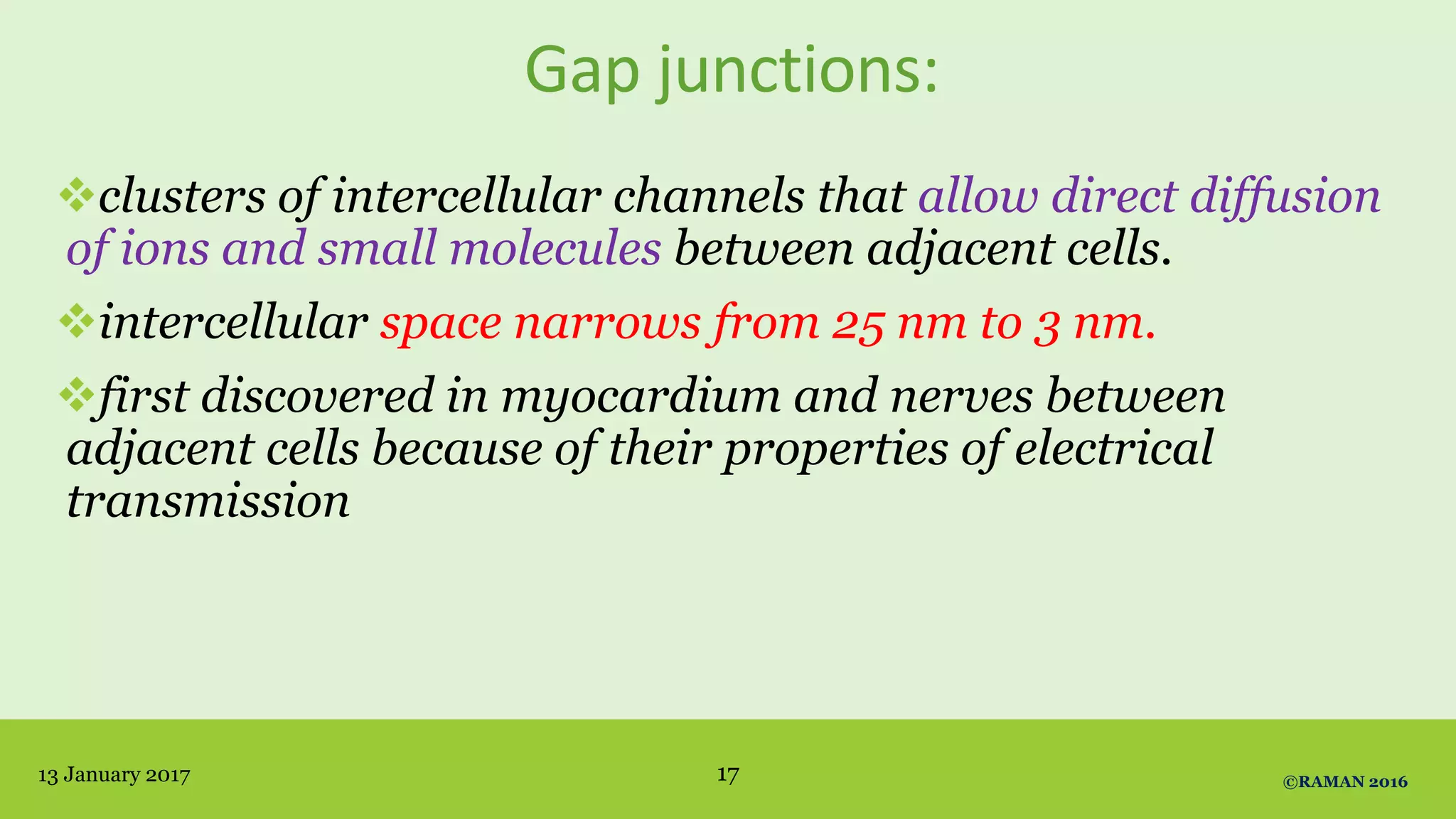 Gap junctions:
clusters of intercellular channels that allow direct diffusion
of ions and small molecules between adjacent cells.
intercellular space narrows from 25 nm to 3 nm.
first discovered in myocardium and nerves between
adjacent cells because of their properties of electrical
transmission
13 January 2017 ©RAMAN 201617
 