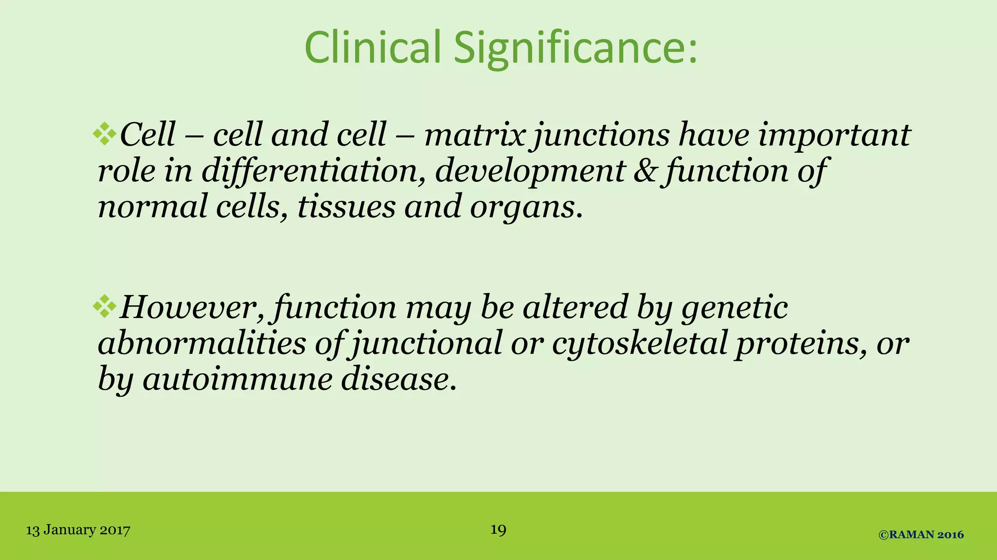 Clinical Significance:
Cell – cell and cell – matrix junctions have important
role in differentiation, development & function of
normal cells, tissues and organs.
However, function may be altered by genetic
abnormalities of junctional or cytoskeletal proteins, or
by autoimmune disease.
13 January 2017 ©RAMAN 201619
 