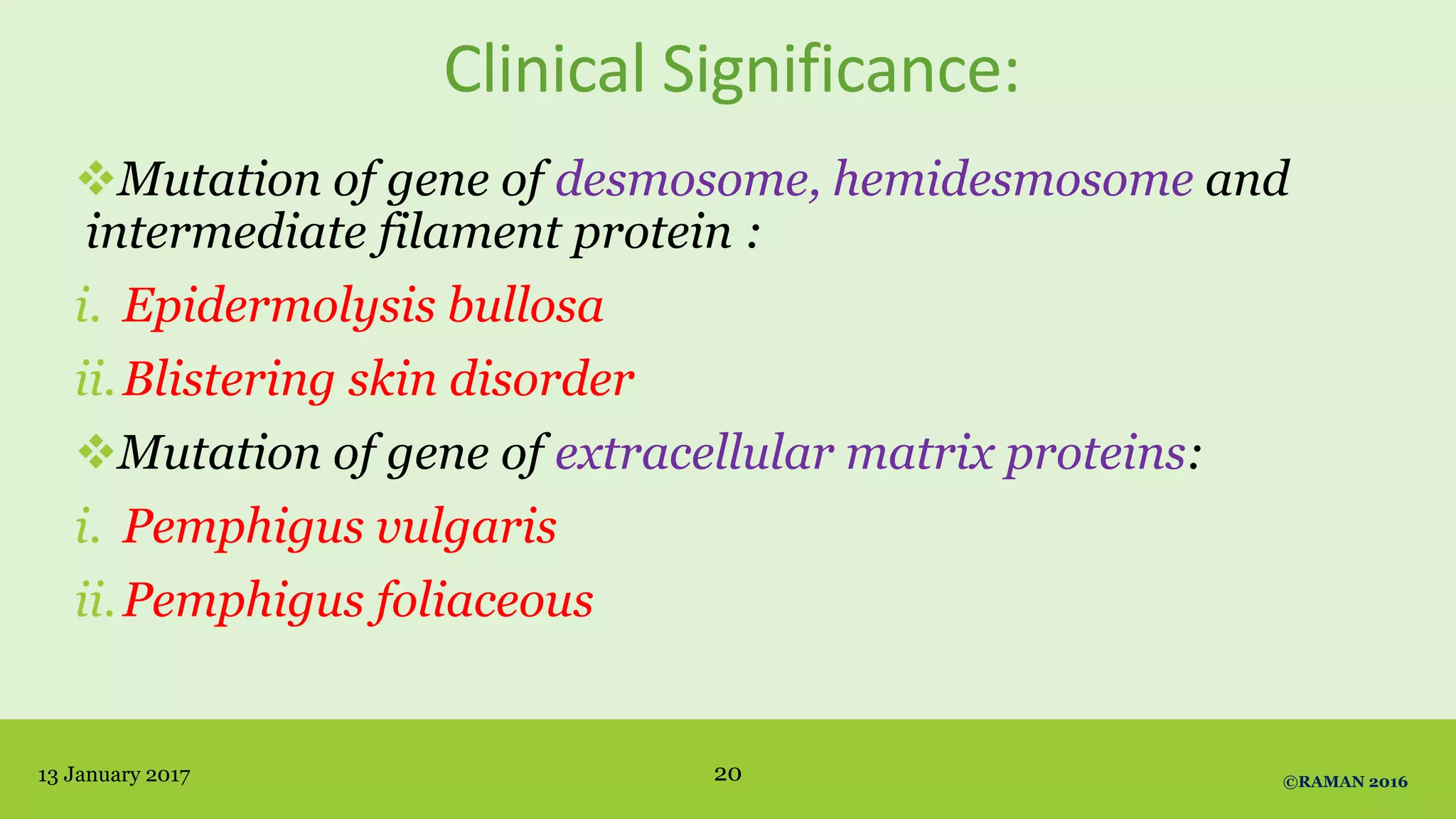 Clinical Significance:
Mutation of gene of desmosome, hemidesmosome and
intermediate filament protein :
i. Epidermolysis bullosa
ii.Blistering skin disorder
Mutation of gene of extracellular matrix proteins:
i. Pemphigus vulgaris
ii.Pemphigus foliaceous
13 January 2017 ©RAMAN 201620
 