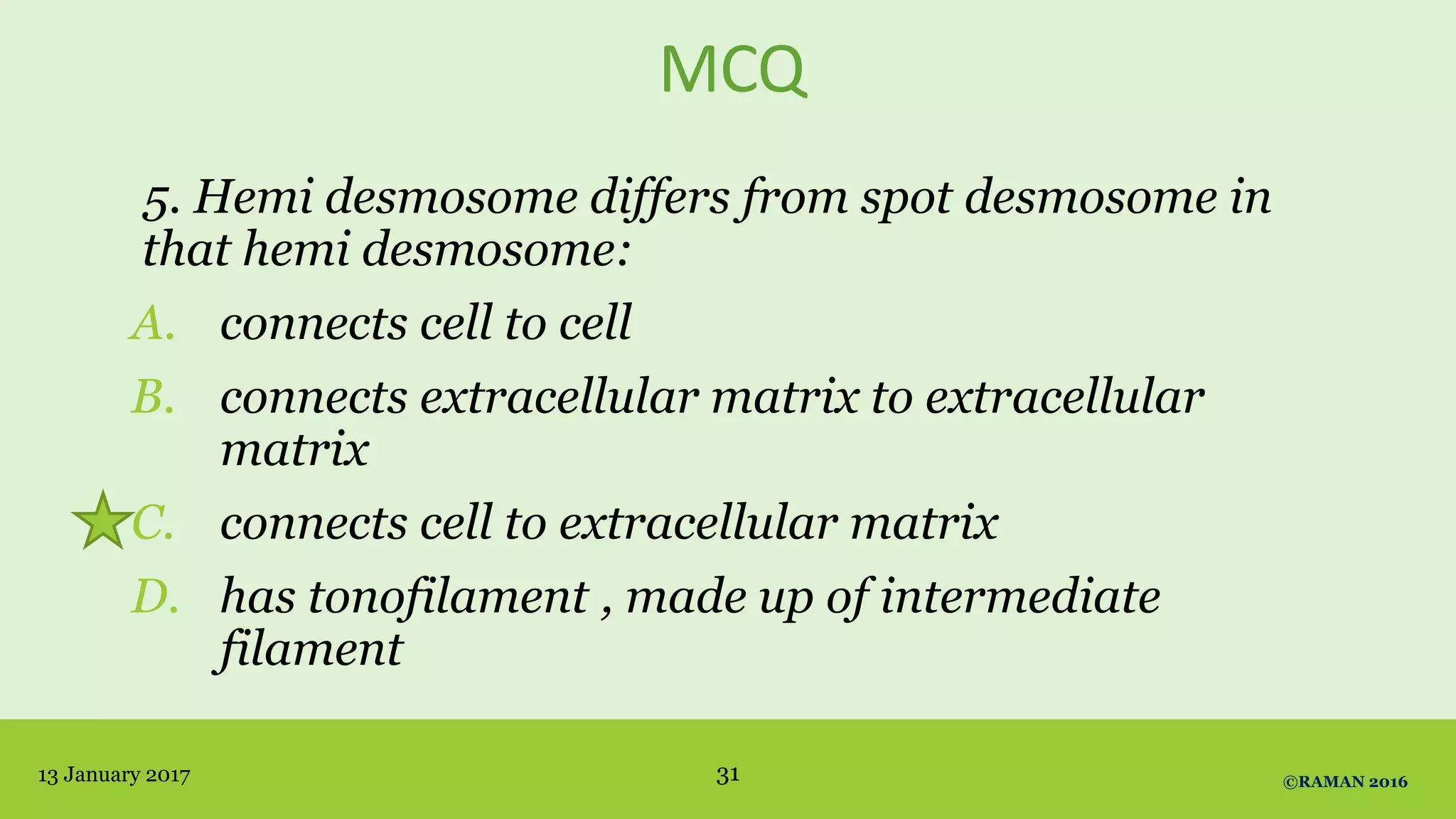 MCQ
5. Hemi desmosome differs from spot desmosome in
that hemi desmosome:
A. connects cell to cell
B. connects extracellular matrix to extracellular
matrix
C. connects cell to extracellular matrix
D. has tonofilament , made up of intermediate
filament
13 January 2017 ©RAMAN 201631
 