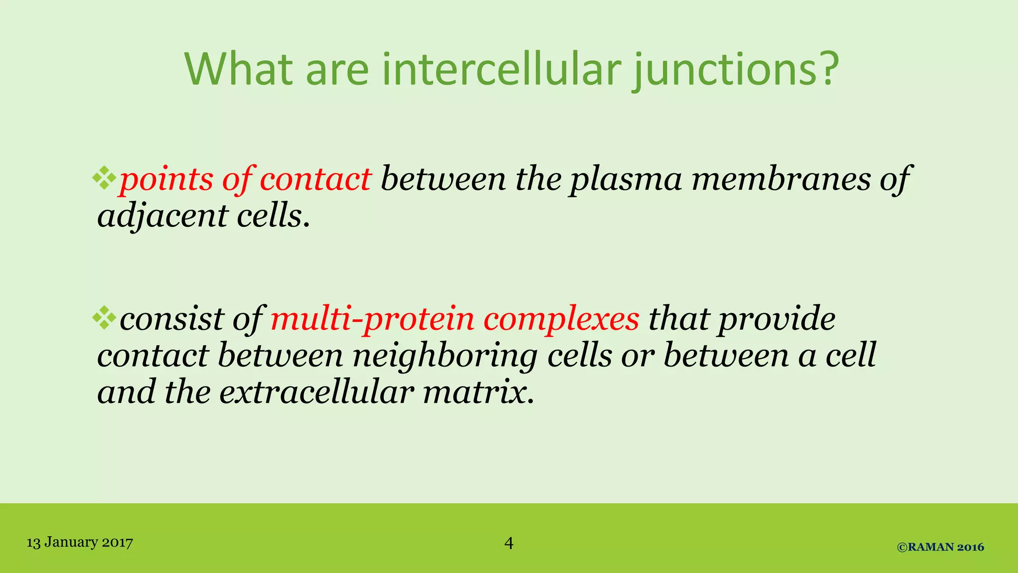 What are intercellular junctions?
points of contact between the plasma membranes of
adjacent cells.
consist of multi-protein complexes that provide
contact between neighboring cells or between a cell
and the extracellular matrix.
13 January 2017 4 ©RAMAN 2016
 