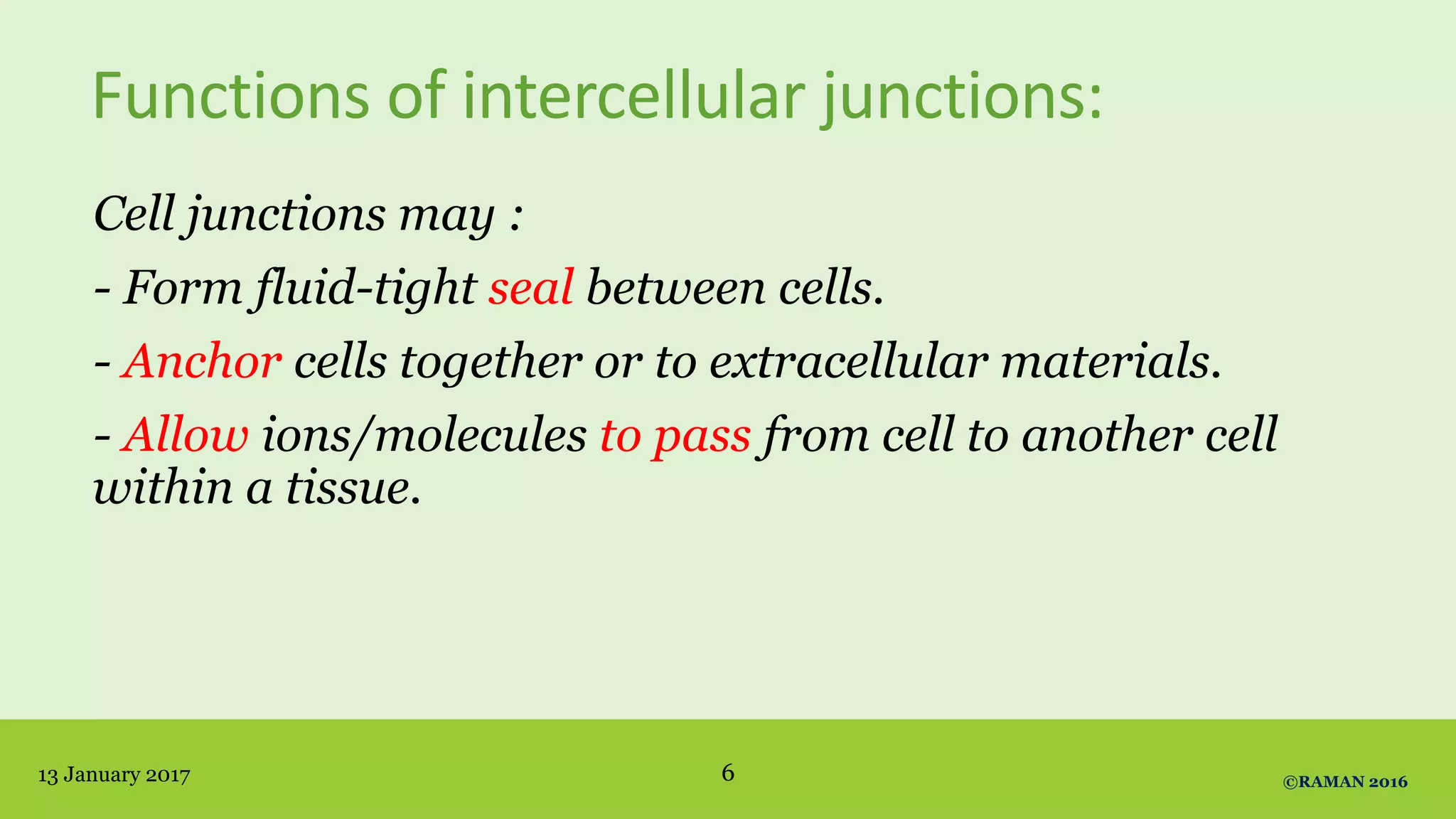 Functions of intercellular junctions:
Cell junctions may :
- Form fluid-tight seal between cells.
- Anchor cells together or to extracellular materials.
- Allow ions/molecules to pass from cell to another cell
within a tissue.
13 January 2017 ©RAMAN 20166
 