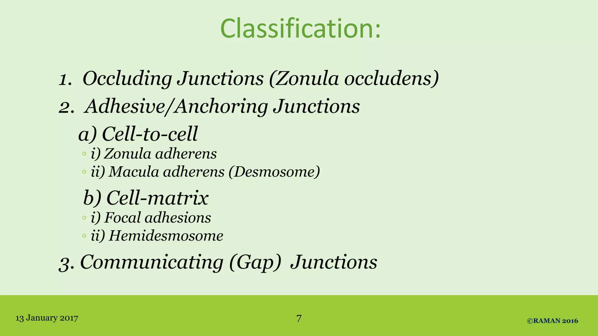 Classification:
1. Occluding Junctions (Zonula occludens)
2. Adhesive/Anchoring Junctions
a) Cell-to-cell
◦ i) Zonula adherens
◦ ii) Macula adherens (Desmosome)
b) Cell-matrix
◦ i) Focal adhesions
◦ ii) Hemidesmosome
3. Communicating (Gap) Junctions
13 January 2017 7 ©RAMAN 2016
 