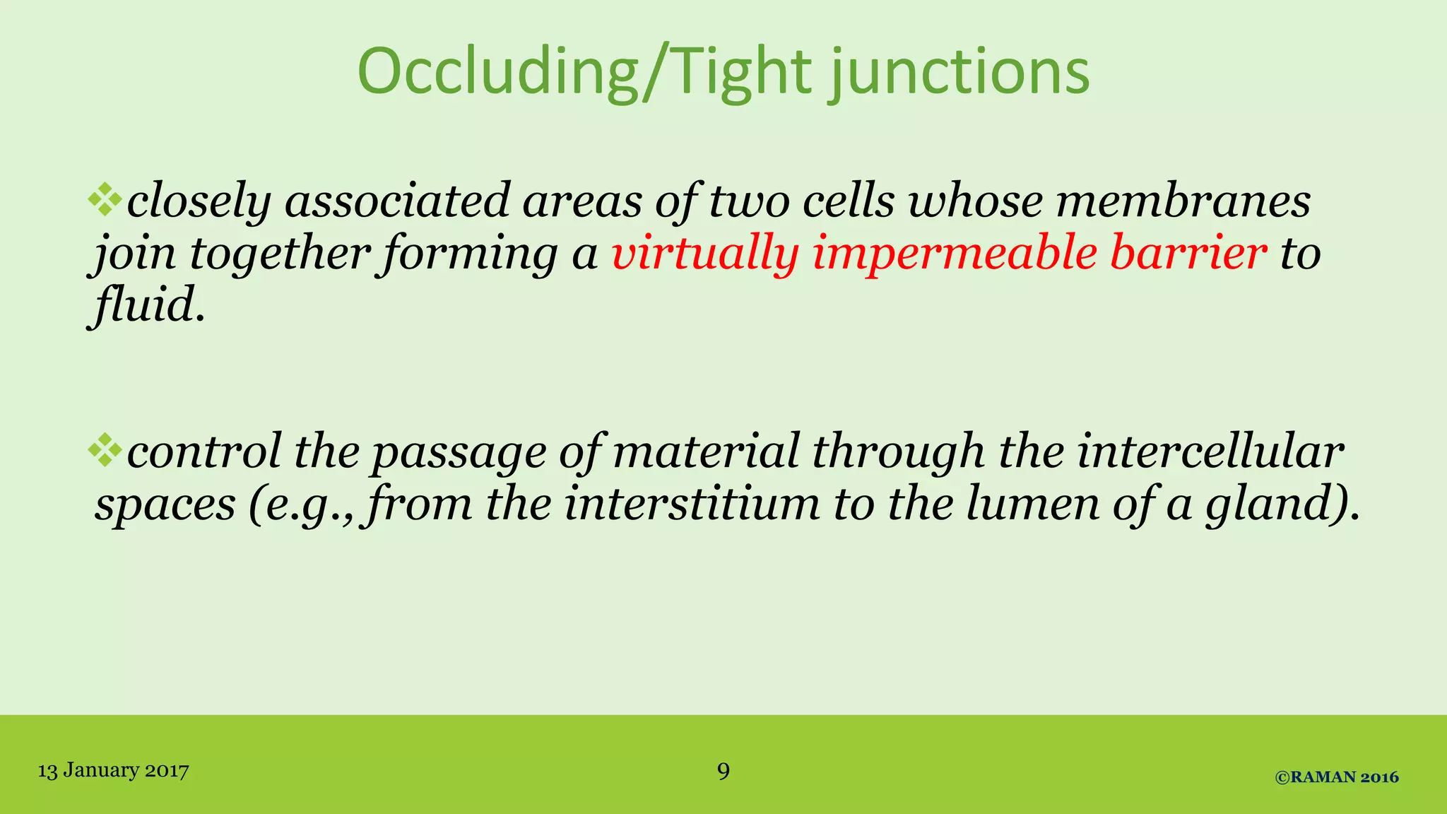 Occluding/Tight junctions
closely associated areas of two cells whose membranes
join together forming a virtually impermeable barrier to
fluid.
control the passage of material through the intercellular
spaces (e.g., from the interstitium to the lumen of a gland).
13 January 2017 ©RAMAN 20169
 