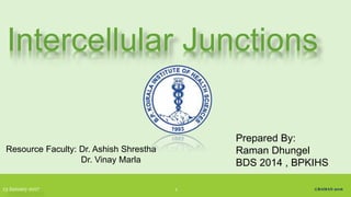 Intercellular Junctions
13 January 2017
Resource Faculty: Dr. Ashish Shrestha
Dr. Vinay Marla
Prepared By:
Raman Dhungel
BDS 2014 , BPKIHS
1 ©RAMAN 2016
 