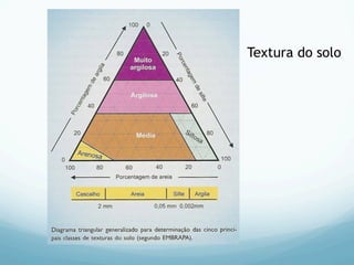 Textura do solo
 
