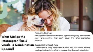 Interceptor Plus & Credelio for Dogs: A Combo for 360-Degree Parasite ...