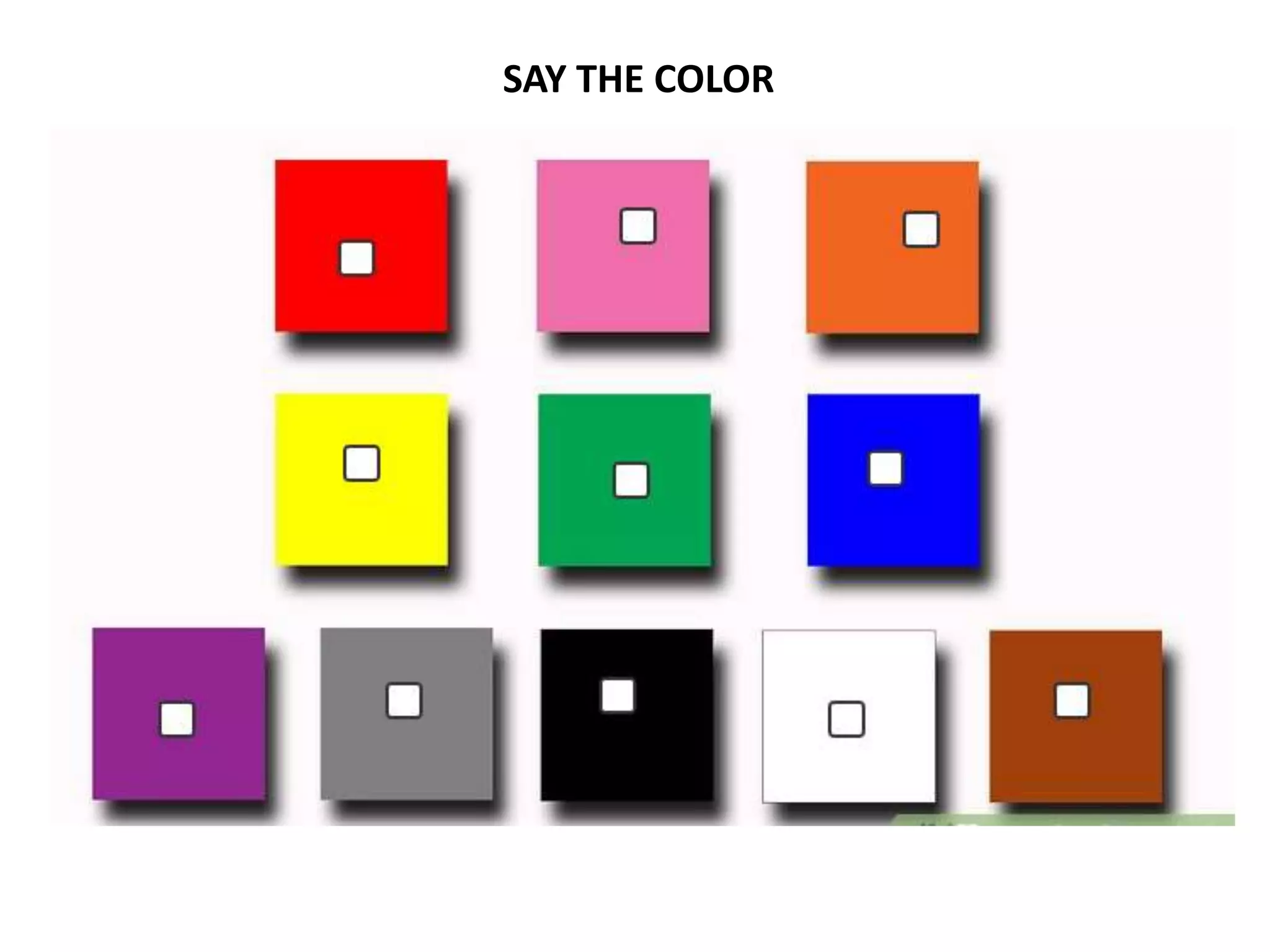 SAY THE COLOR
 