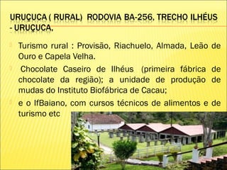  Turismo rural : Provisão, Riachuelo, Almada, Leão de
Ouro e Capela Velha.
  Chocolate Caseiro de Ilhéus  (primeira fábrica de
chocolate da região); a unidade de produção de
mudas do Instituto Biofábrica de Cacau;
 e o IfBaiano, com cursos técnicos de alimentos e de
turismo etc
 