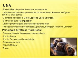 UNA
Possui 54Km de praias desertas e semidesertas
Uma das maiores áreas preservadas do planeta com Reservas biológicas,
RPPN´s, entre outros.
O símbolo da cidade o Mico-Leão de Cara Dourada
E o fruto de ouro “Mangustin”
Grande potencial para exploração do turismo rural
Principais atividades Econômicas: Agricultura, Serviços/ Turismo e Comércio
Principais Atrativos Turísticos:
Praias de Lençois, Itapororoca, Independência
Ilha do desejo
Ilha da Fantasia em Comandatuba;
Ecoparque de Uma
Sítio Zé Matuto
A toca
 