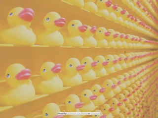 Photo by JOSHUA COLEMAN on Unsplash
 