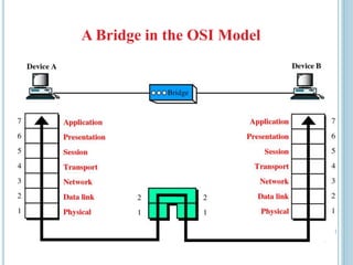 A Bridge in the OSI Model
 