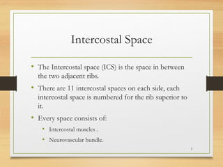Intercostal-Space hhbbnnnnnmjjbbbnnnnnnnnnnnnnnncujvhh | PPTX