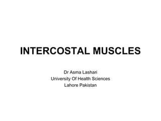 INTERCOSTAL MUSCLES
Dr Asma Lashari
University Of Health Sciences
Lahore Pakistan
 