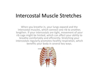 Intercostal Muscle Stretches
When you breathe in, your lungs expand and the
intercostal muscles, which connect one rib to another,
lengthen. If your intercostals are tight, movement of your
rib cage might be limited, which can affect your ability to
breathe comfortably and efficiently. Stretching your
intercostals regularly promotes healthy respiration, which
benefits your body in several key ways.
 