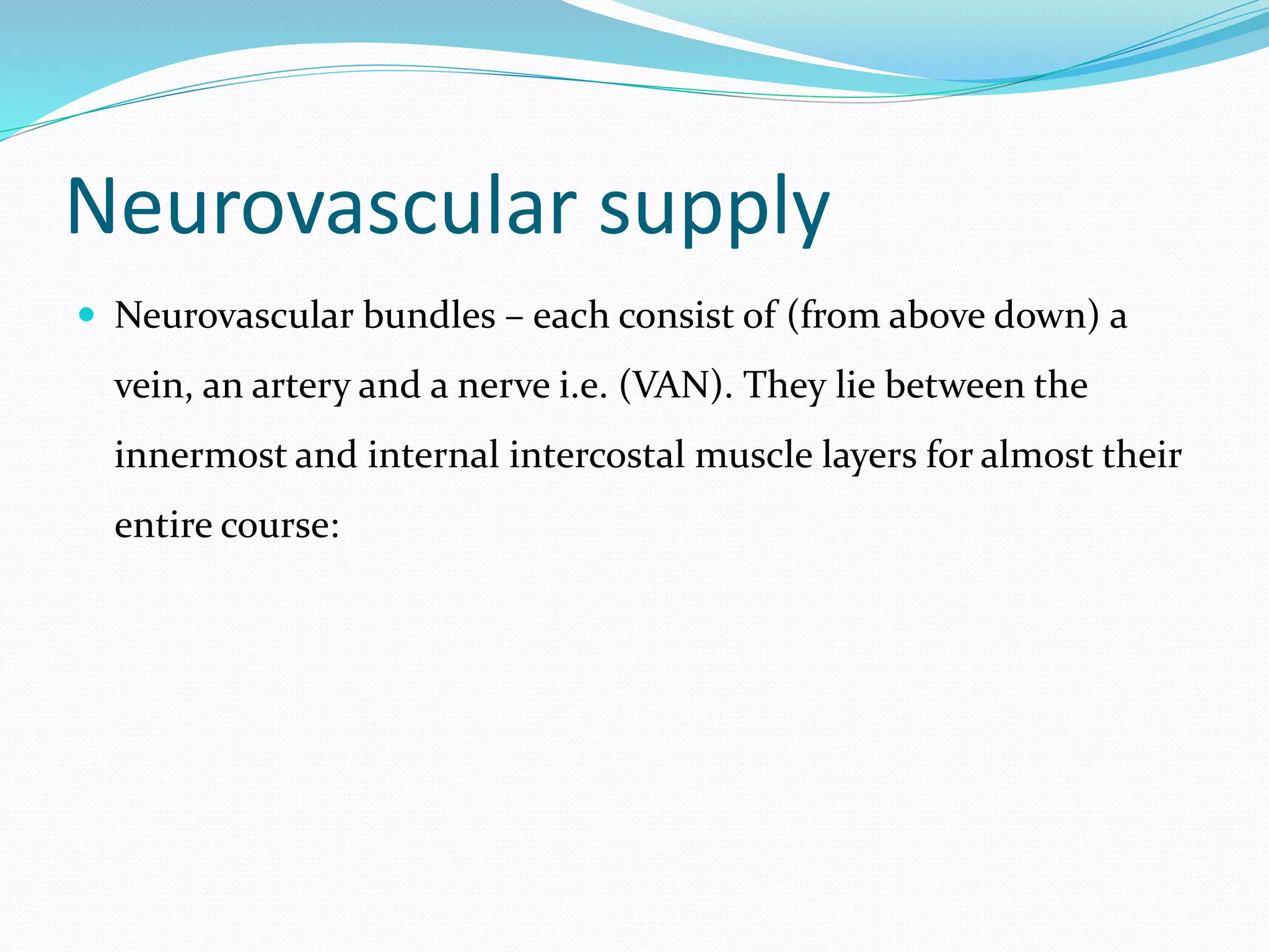 Neurovascular supply
 Neurovascular bundles – each consist of (from above down) a
vein, an artery and a nerve i.e. (VAN). They lie between the
innermost and internal intercostal muscle layers for almost their
entire course:
 