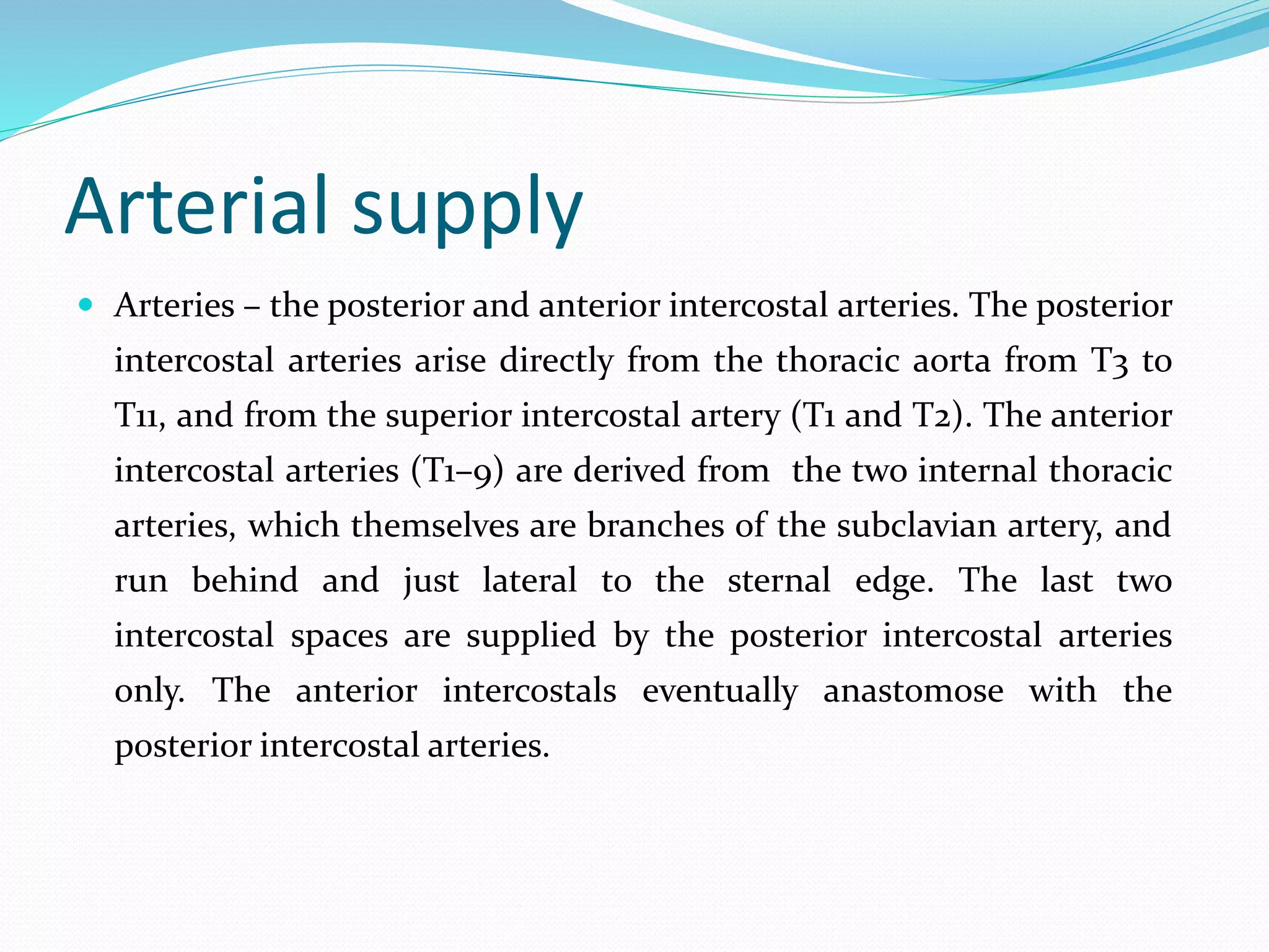 Arterial supply
 Arteries – the posterior and anterior intercostal arteries. The posterior
intercostal arteries arise directly from the thoracic aorta from T3 to
T11, and from the superior intercostal artery (T1 and T2). The anterior
intercostal arteries (T1–9) are derived from the two internal thoracic
arteries, which themselves are branches of the subclavian artery, and
run behind and just lateral to the sternal edge. The last two
intercostal spaces are supplied by the posterior intercostal arteries
only. The anterior intercostals eventually anastomose with the
posterior intercostal arteries.
 
