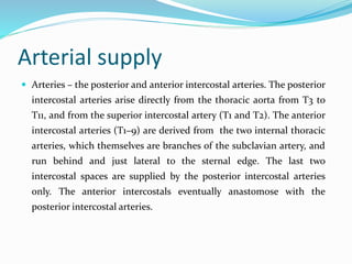 Arterial supply
 Arteries – the posterior and anterior intercostal arteries. The posterior
intercostal arteries arise directly from the thoracic aorta from T3 to
T11, and from the superior intercostal artery (T1 and T2). The anterior
intercostal arteries (T1–9) are derived from the two internal thoracic
arteries, which themselves are branches of the subclavian artery, and
run behind and just lateral to the sternal edge. The last two
intercostal spaces are supplied by the posterior intercostal arteries
only. The anterior intercostals eventually anastomose with the
posterior intercostal arteries.
 