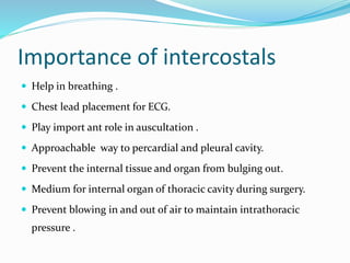 Importance of intercostals
 Help in breathing .
 Chest lead placement for ECG.
 Play import ant role in auscultation .
 Approachable way to percardial and pleural cavity.
 Prevent the internal tissue and organ from bulging out.
 Medium for internal organ of thoracic cavity during surgery.
 Prevent blowing in and out of air to maintain intrathoracic
pressure .
 