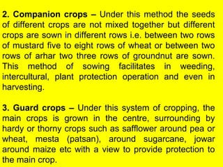 2. Companion crops – Under this method the seeds
of different crops are not mixed together but different
crops are sown in different rows i.e. between two rows
of mustard five to eight rows of wheat or between two
rows of arhar two three rows of groundnut are sown.
This method of sowing facilitates in weeding,
intercultural, plant protection operation and even in
harvesting.
3. Guard crops – Under this system of cropping, the
main crops is grown in the centre, surrounding by
hardy or thorny crops such as safflower around pea or
wheat, mesta (patsan), around sugarcane, jowar
around maize etc with a view to provide protection to
the main crop.
 