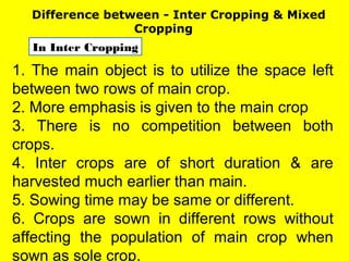Difference between - Inter Cropping & Mixed
Cropping
1. The main object is to utilize the space left
between two rows of main crop.
2. More emphasis is given to the main crop
3. There is no competition between both
crops.
4. Inter crops are of short duration & are
harvested much earlier than main.
5. Sowing time may be same or different.
6. Crops are sown in different rows without
affecting the population of main crop when
sown as sole crop.
In Inter Cropping
 
