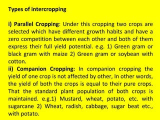Types of intercropping
i) Parallel Cropping: Under this cropping two crops are
selected which have different growth habits and have a
zero competition between each other and both of them
express their full yield potential. e.g. 1) Green gram or
black gram with maize 2) Green gram or soybean with
cotton.
ii) Companion Cropping: In companion cropping the
yield of one crop is not affected by other, In other words,
the yield of both the crops is equal to their pure crops.
That the standard plant population of both crops is
maintained. e.g.1) Mustard, wheat, potato, etc. with
sugarcane 2) Wheat, radish, cabbage, sugar beat etc.,
with potato.
 
