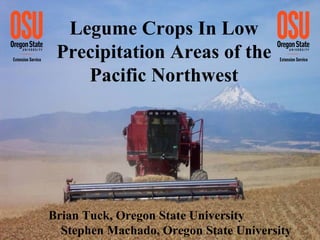 Legume Crops In Low Precipitation Areas of the Pacific Northwest Brian Tuck, Oregon State University  Stephen Machado, Oregon State University 