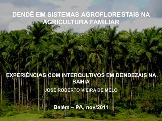 DENDÊ EM SISTEMAS AGROFLORESTAIS NA
        AGRICULTURA FAMILIAR




EXPERIÊNCIAS COM INTERCULTIVOS EM DENDEZAIS NA
                     BAHIA
           JOSÉ ROBERTO VIEIRA DE MELO


              Belém – PA, nov/2011
 